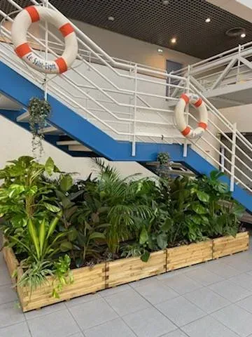 Plantes